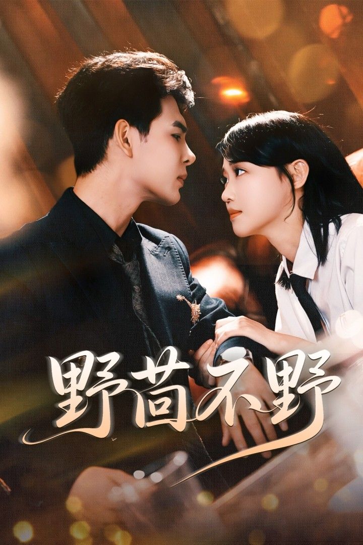 热门短剧野茴不野67集全集超清未删减版 靳旺龚芳妮主演 免费在线观看播放 百度网盘夸克网盘资源下载分享 第1张 热门短剧野茴不野67集全集超清未删减版 靳旺龚芳妮主演 免费在线观看播放 百度网盘夸克网盘资源下载分享 第1张