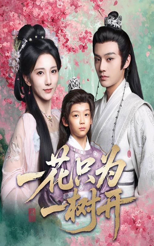 热门短剧一花只为一树开54集全集 柳甯高明君主演 免费在线观看未删减版 百度网盘夸克网盘资源分享下载 高清完整版观看入口  第1张