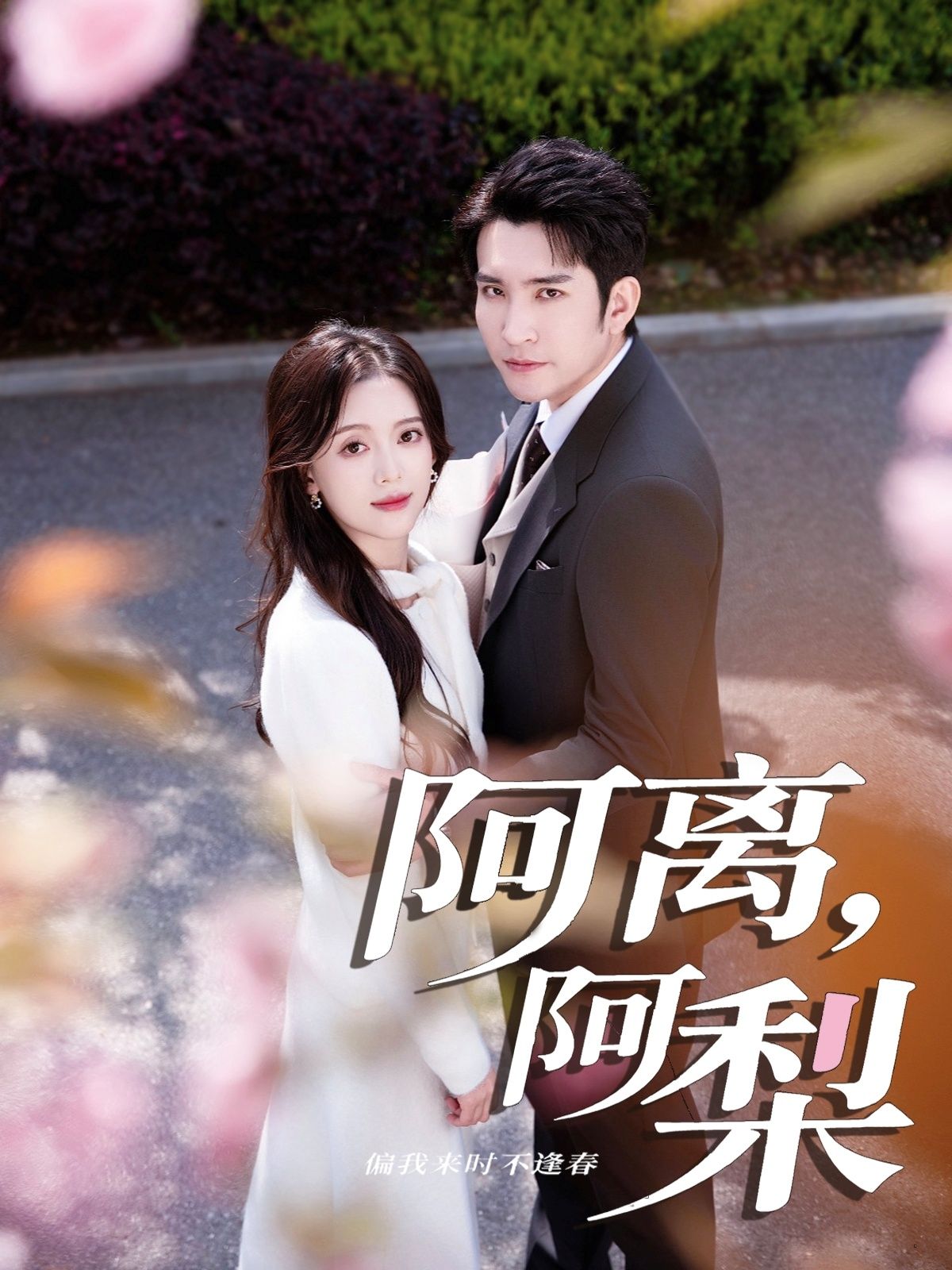 热门短剧阿离阿梨60集全集 王已歌唐敬主演 未删减版免费在线观看 百度夸克网盘资源分享下载 第1张 热门短剧阿离阿梨60集全集 王已歌唐敬主演 未删减版免费在线观看 百度夸克网盘资源分享下载 第1张