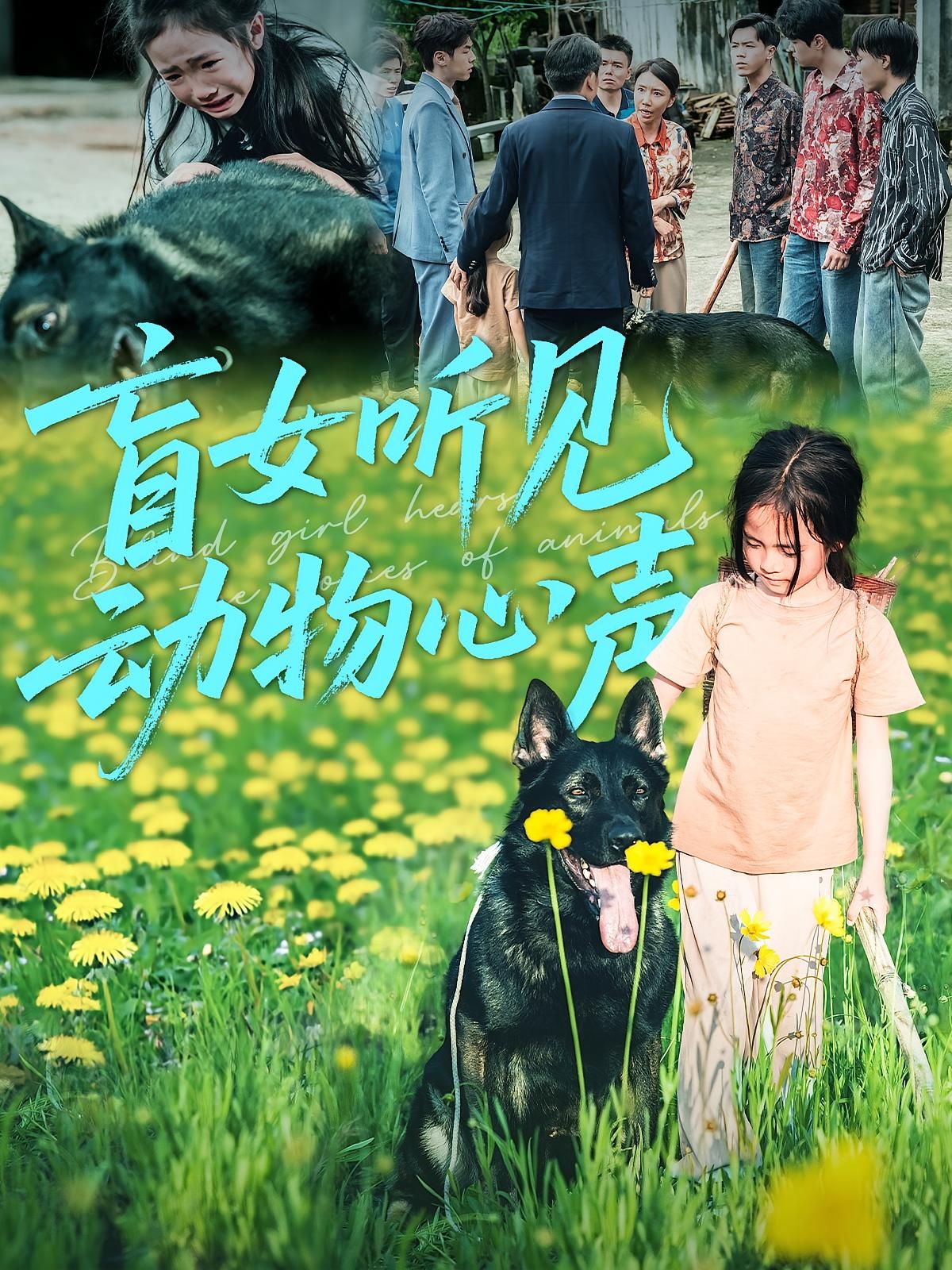 盲女听见动物心声61集全集完整版免费在线观看未删减版,百度网盘夸克网盘资源下载 第1张 盲女听见动物心声61集全集完整版免费在线观看未删减版,百度网盘夸克网盘资源下载 第1张