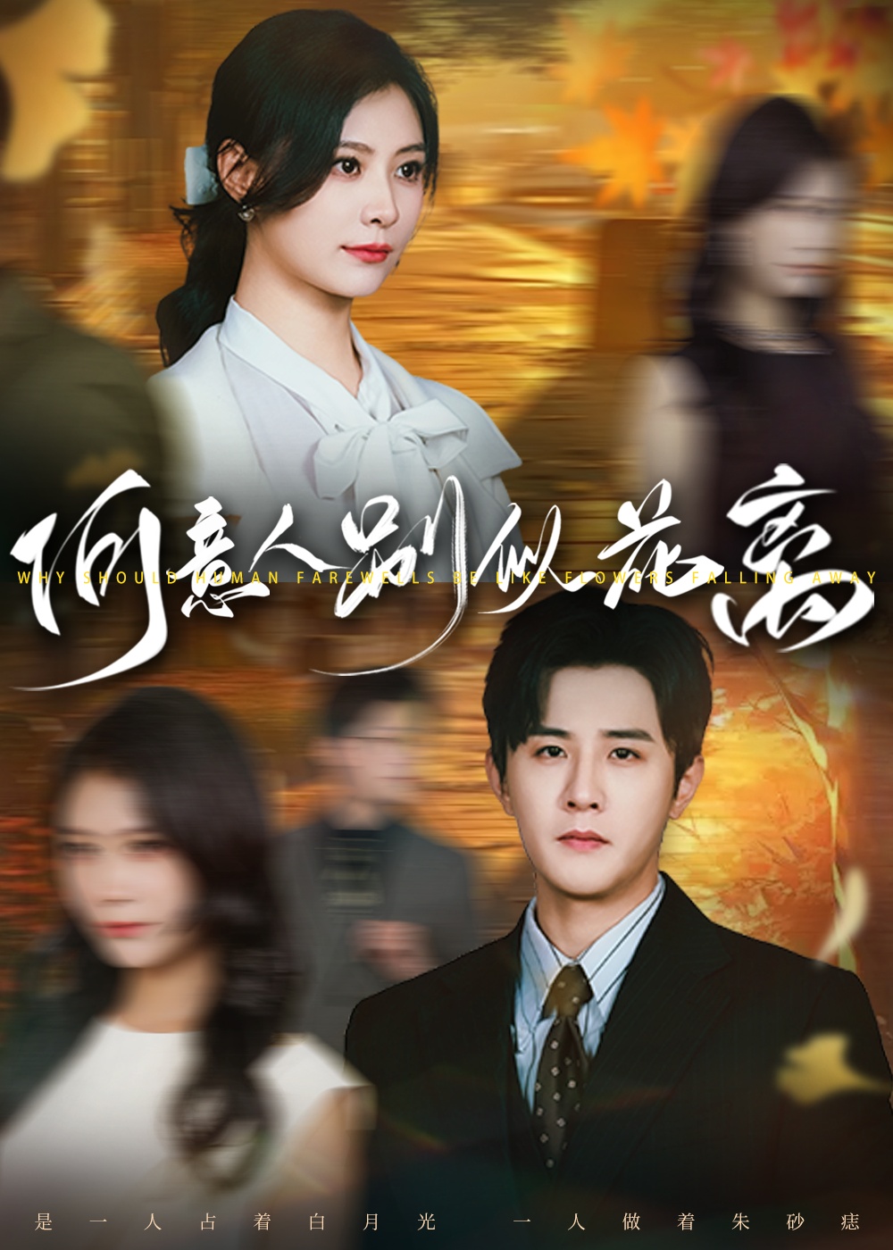 短剧何意人别似花离全集免费在线观看,高清画质,大结局震撼揭晓 第1张 短剧何意人别似花离全集免费在线观看,高清画质,大结局震撼揭晓 第1张