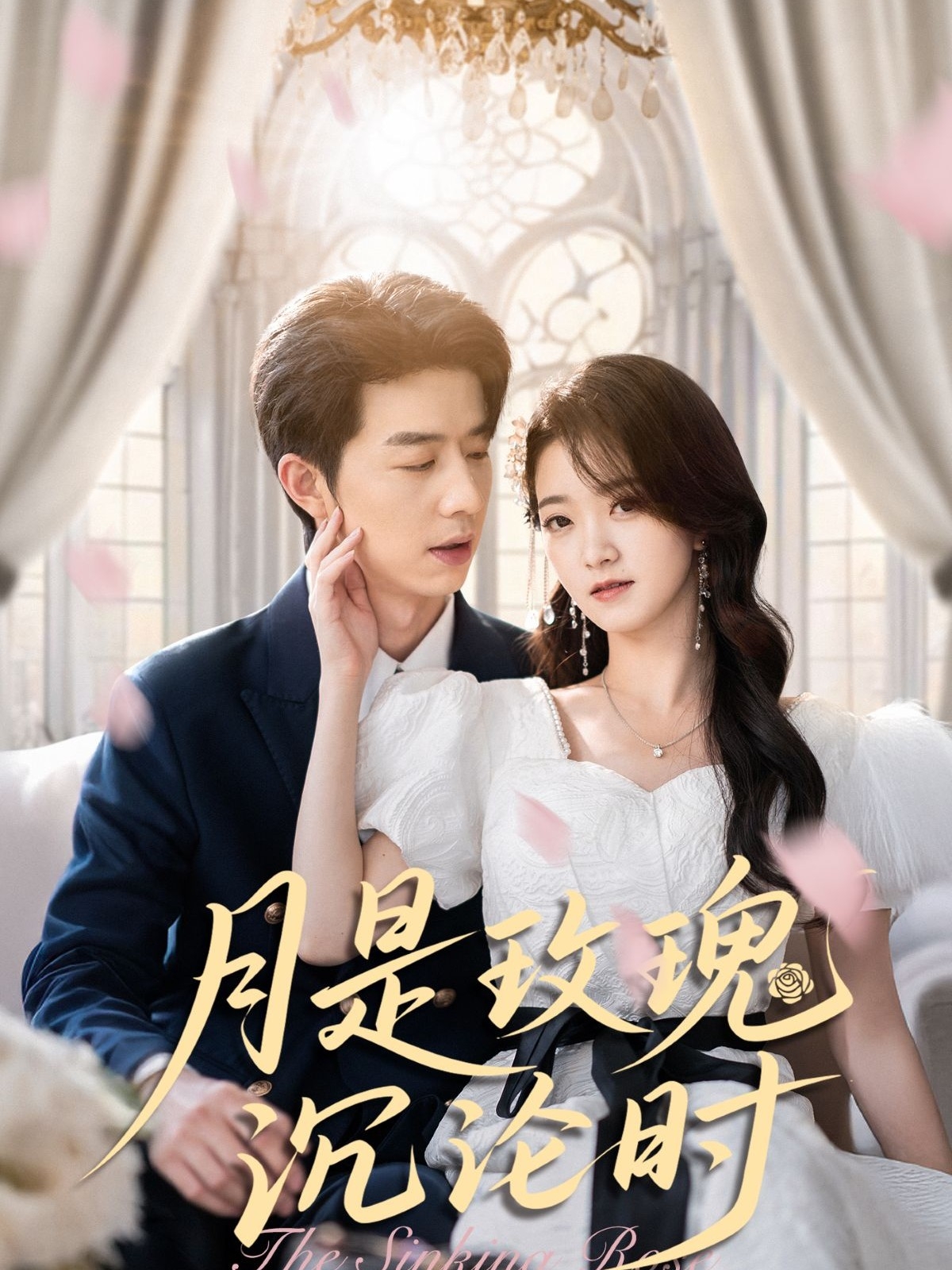 月是玫瑰沉沦时高清短剧全集免费看,完整版在线体验,无删减正片热播中,追更党必备,立即观看!