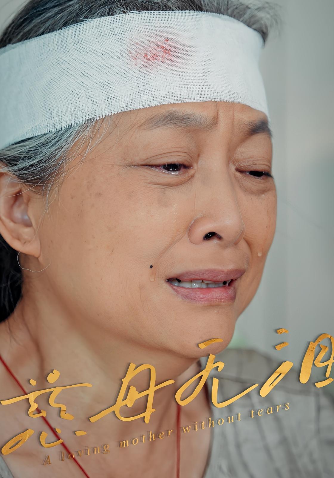 热门短剧慈母无泪(30集)最新全集完整版未删减,免费在线观看播放,百度网盘夸克网盘免费资源分享下载 第1张 热门短剧慈母无泪(30集)最新全集完整版未删减,免费在线观看播放,百度网盘夸克网盘免费资源分享下载 第1张