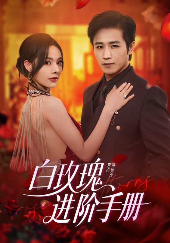 白玫瑰进阶手册64集全集完整版免费在线观看未删减版 古铭瀚赵西主演 无需注册播放 百度网盘夸克网盘资源分享下载