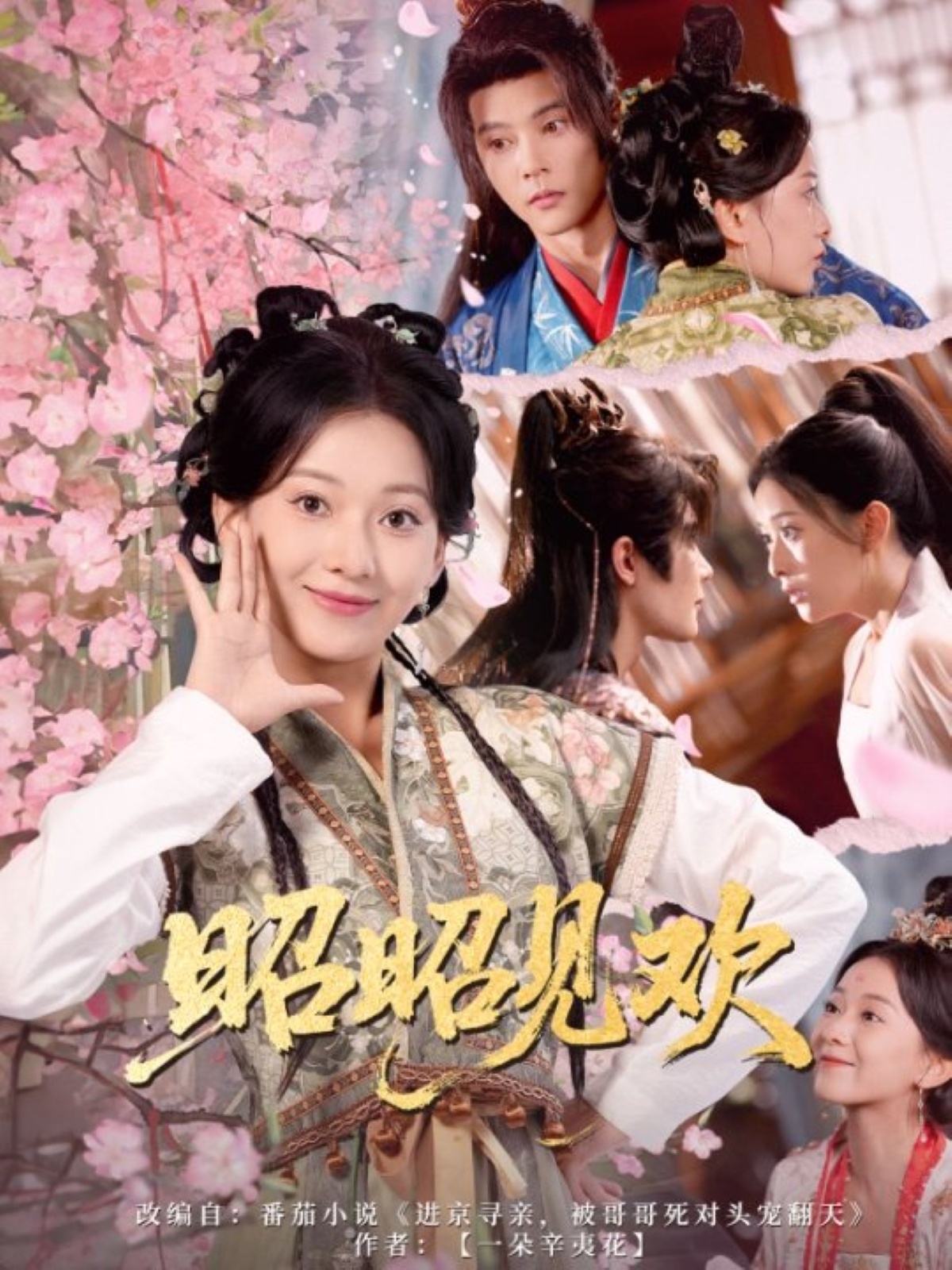 昭昭见欢蔺瑞雪李俊辰66集全集完整版超清免费在线观看未删减版 百度网盘夸克网盘资源分享下载 第1张 昭昭见欢蔺瑞雪李俊辰66集全集完整版超清免费在线观看未删减版 百度网盘夸克网盘资源分享下载 第1张