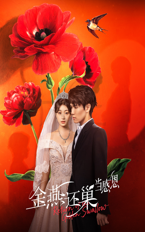 热门短剧《金燕还巢当感恩（55集）晓杨&刘曙瑞》 最新全集完整版免费在线观看播放未删减版资源，短剧百度网盘夸克网盘免费资源分享下载  第1张