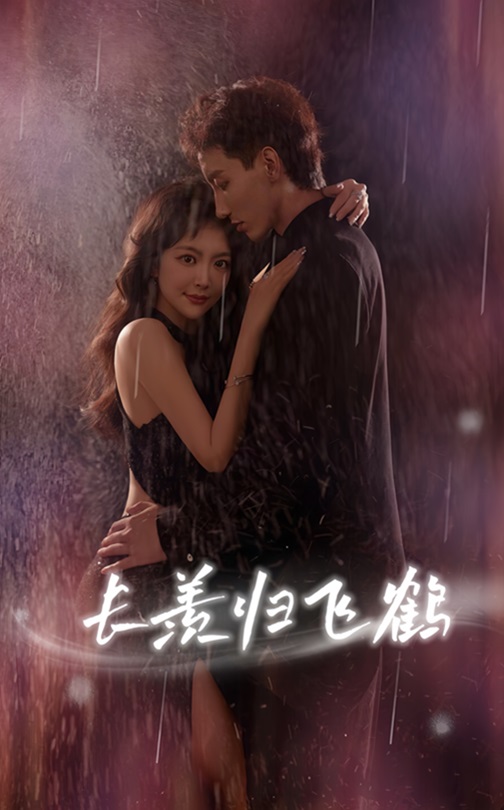 热门短剧长羡归飞鹤70集霍文琦主演全集完整版免费在线观看未删减版百度网盘/夸克网盘免费资源分享下载  第1张