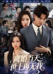 热门短剧离婚当天世上再无我60集董劭辉主演，全集完整版未删减免费在线观看，百度网盘夸克网盘资源秒存分享下载  第1张