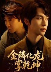 热门短剧金鳞化龙掌乾坤（54集）李红雨&辛宜洋全集完整版免费在线观看未删减，百度网盘夸克网盘免费下载资源  第1张