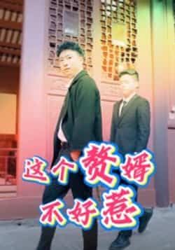 热门短剧这个赘婿不好惹（27集）全集完整版免费在线观看未删减，百度网盘夸克网盘资源稳定下载分享，高清播放无广告  第1张