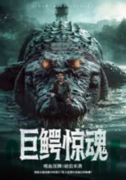 巨鳄惊魂85集沈建主演全集完整版免费在线观看未删减版实时更新 百度网盘夸克网盘资源分享下载 第1张 巨鳄惊魂85集沈建主演全集完整版免费在线观看未删减版实时更新 百度网盘夸克网盘资源分享下载 第1张