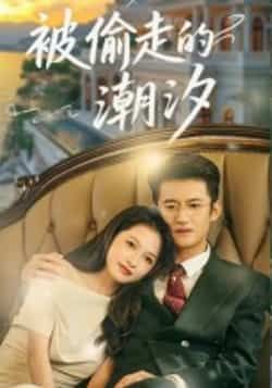 被偷走的潮汐60集高广泽潘悦主演 全集完整版免费在线观看未删减版 百度网盘夸克网盘免费资源下载速存  第1张