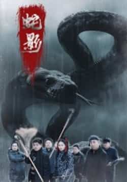 热门短剧蛇影25集全集 刘灵闫一英主演 免费在线观看未删减版 百度网盘夸克网盘资源下载分享 第1张 热门短剧蛇影25集全集 刘灵闫一英主演 免费在线观看未删减版 百度网盘夸克网盘资源下载分享 第1张