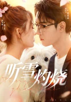 热门短剧听雪灼烧68集全集完整版免费播放在线观看未删减版,主演希尔力刘美娜,百度网盘夸克网盘免费资源分享下载 第1张 热门短剧听雪灼烧68集全集完整版免费播放在线观看未删减版,主演希尔力刘美娜,百度网盘夸克网盘免费资源分享下载 第1张