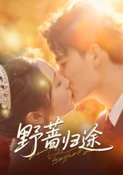 热门短剧野蔷归途全集完整版更新完毕，免费在线观看未删减版，百度夸克网盘资源分享下载  第1张