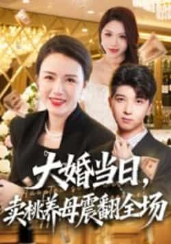 热门短剧大婚当日，卖桃养母震翻全场全集完整版实时更新免费在线观看未删减版，百度网盘夸克网盘免费资源下载  第1张