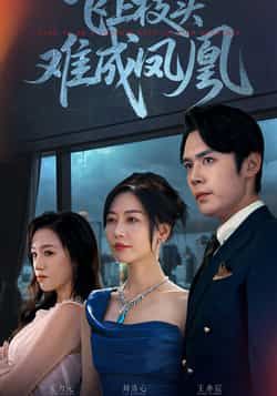 热门短剧《飞上枝头难成凤凰》 全集完整版极速免费在线观看播放未删减版资源，短剧百度网盘夸克网盘免费资源分享下载  第1张