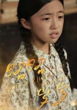 热门短剧昭昭岁岁全集完整版免费在线观看未删减,百度网盘夸克网盘资源分享下载,高清未删减版全集在线观看资源 第1张 热门短剧昭昭岁岁全集完整版免费在线观看未删减,百度网盘夸克网盘资源分享下载,高清未删减版全集在线观看资源 第1张