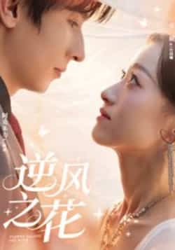 热门短剧逆风之花全集完整版免费在线观看未删减版,百度网盘夸克网盘资源分享下载稳定播放,未删减资源在线看 第1张 热门短剧逆风之花全集完整版免费在线观看未删减版,百度网盘夸克网盘资源分享下载稳定播放,未删减资源在线看 第1张