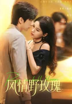 热门短剧《风情野玫瑰》 全集完整版免费无广告在线观看播放未删减版资源,短剧百度网盘夸克网盘免费资源分享下载 第1张 热门短剧《风情野玫瑰》 全集完整版免费无广告在线观看播放未删减版资源,短剧百度网盘夸克网盘免费资源分享下载 第1张