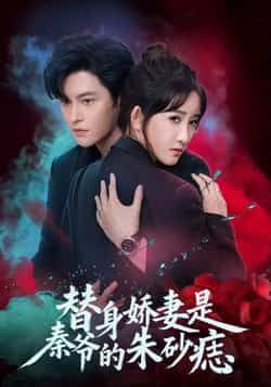 热门短剧替身娇妻是秦爷的朱砂痣全集完整版免费在线观看未删减版资源，百度网盘夸克网盘速存分享下载  第1张