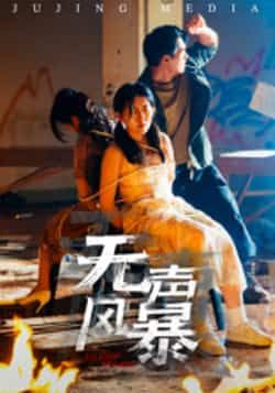 热门短剧无声风暴全集完整版免费无广告在线观看，未删减版百度网盘夸克网盘资源分享下载，高清流畅播放直达  第1张