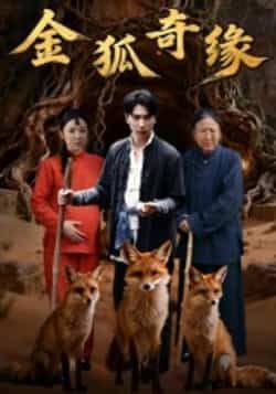 热门短剧金狐奇缘全集完整版免费无水印在线观看，未删减版资源，百度网盘夸克网盘免费分享下载  第1张