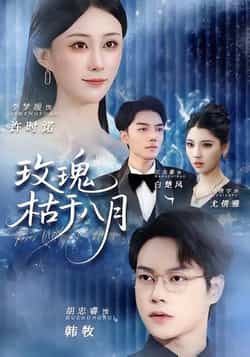 热门短剧玫瑰枯于八月全集完整版高清免费在线观看，未删减版资源分享，百度网盘夸克网盘免费下载播放  第1张