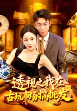 透视之我在古玩市场搞批发热门短剧全集完整版免费无卡顿在线观看，未删减版资源，百度网盘夸克网盘免费下载  第1张