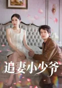 追妻小少爷全集完整未删减版免费在线观看,百度网盘夸克网盘极速资源下载 第1张 追妻小少爷全集完整未删减版免费在线观看,百度网盘夸克网盘极速资源下载 第1张