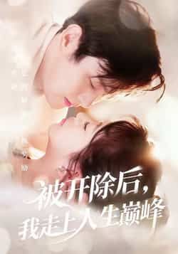 热门短剧《被开除后，我走上人生巅峰》 全集完整版免费观看在线播放未删减版资源，短剧百度网盘夸克网盘免费资源分享下载  第1张