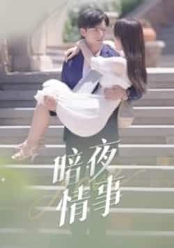 热门短剧暗夜情事最新全集完整版未删减版免费在线观看播放，百度网盘夸克网盘免费资源分享下载  第1张