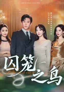 热门短剧《囚笼之鸟》 全集完整版免费在线观看播放未删减版资源，短剧百度网盘夸克网盘免费分享资源下载