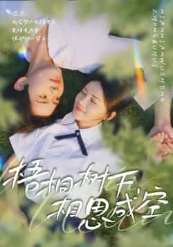 梧桐树下,相思成空热门短剧全集完整版未删减免费在线观看,百度网盘夸克网盘免费资源分享下载