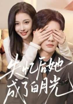 热门短剧失忆后她成了白月光最新全集完整版免费在线观看,未删减版资源,百度网盘夸克网盘免费分享下载