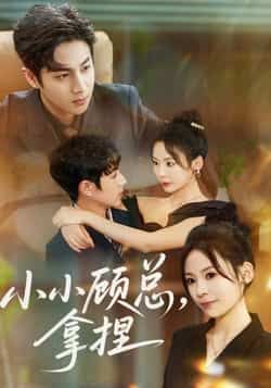 热门短剧小小顾总拿捏全集完整版未删减免费在线观看，百度网盘夸克网盘免费资源秒存分享下载，高清畅看全剧